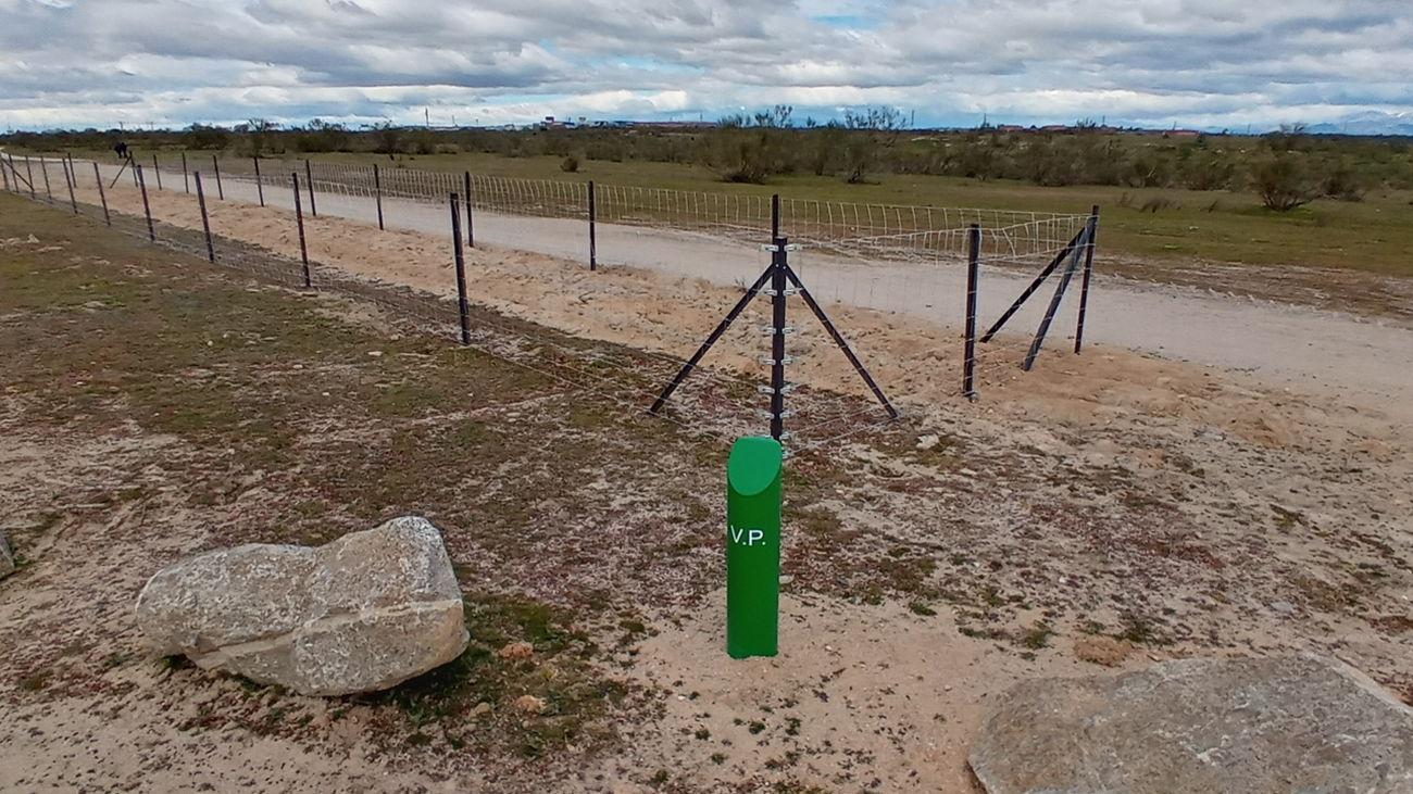 Vía pecuaria señalizada con un mojón verde y en proceso de recuperación