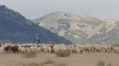 Hoyo viaja a sus orígenes como enclave en las rutas de la trashumancia