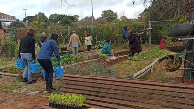 El Día del Árbol llega a Madrid con un itinerario de especies del Vivero, El Retiro o la Dehesa de la Villa
