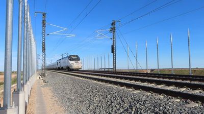 Los trenes de alta velocidad impactan en las comunidades madrileñas de aves